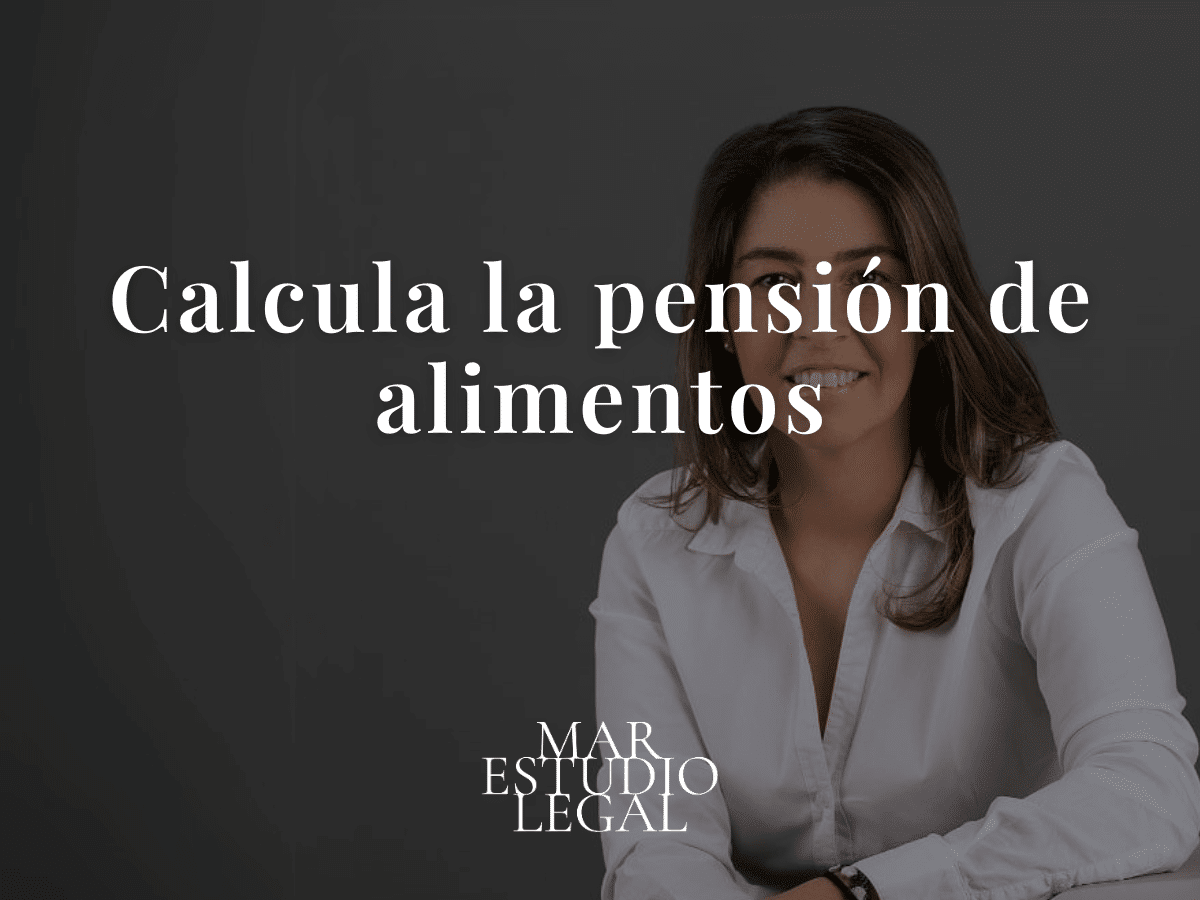 calcular pension de alimentos calculadora de pension de alimentos